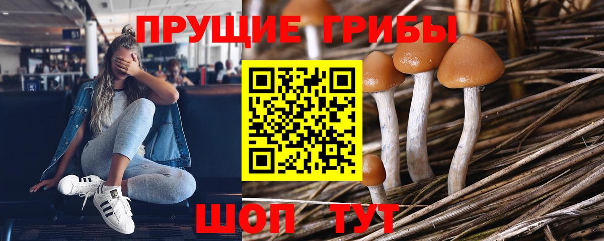 Балашов  Псилоцибиновые грибы Magic Shrooms  Вход с VPN 