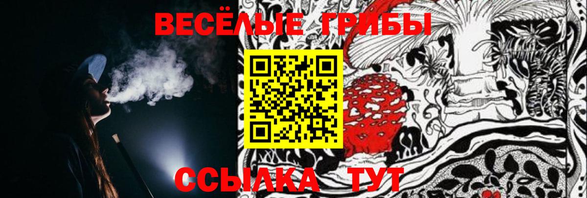 Галлюциногенные грибы Cubensis Балашов